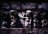 �l�X�̃����[�t