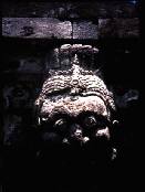 ��̃����[�t