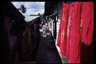 �H�n�̐���