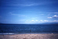 �����ȖԂ�ł��t